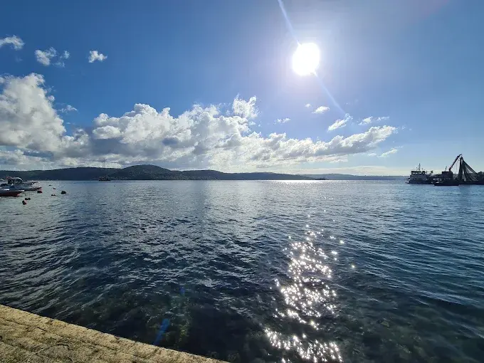 Kurum görseli