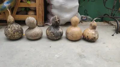 özdence sanat