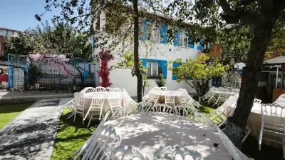 Pelinin Organizasyon Evi Beylikdüzü