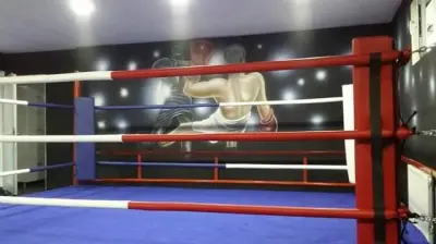 Bakırköy Boks Kulübü