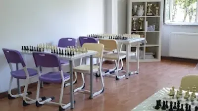 Dinamik Satranç Kulübü