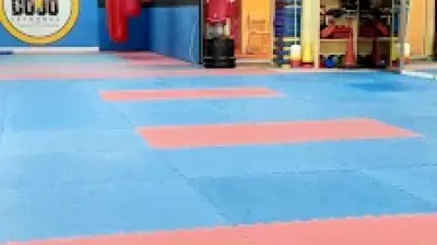 Dojo İstanbul Spor Kulübü
