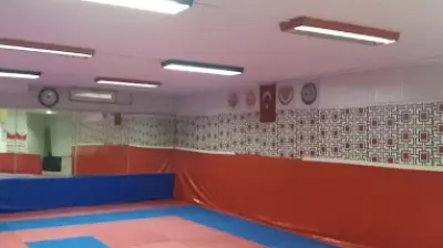 ÖZDEMİR TAEKWONDO İHTİSAS KULÜBÜ
