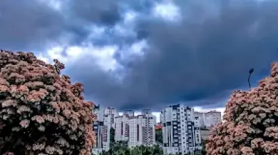 Park Kişisel Gelişim Kursu