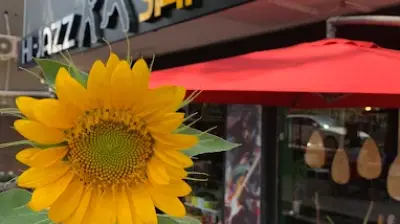 hijazz müzik