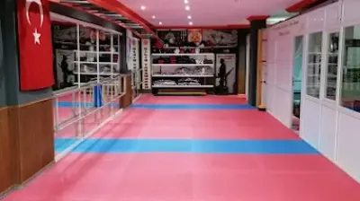 KILIÇ TAEKWONDO SPOR KÜLÜBÜ