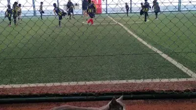 Kağıthane Fenerbahçe Futbol Okulu