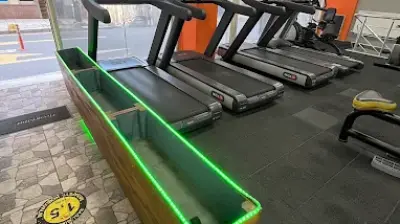 Senfit Spor Salonu