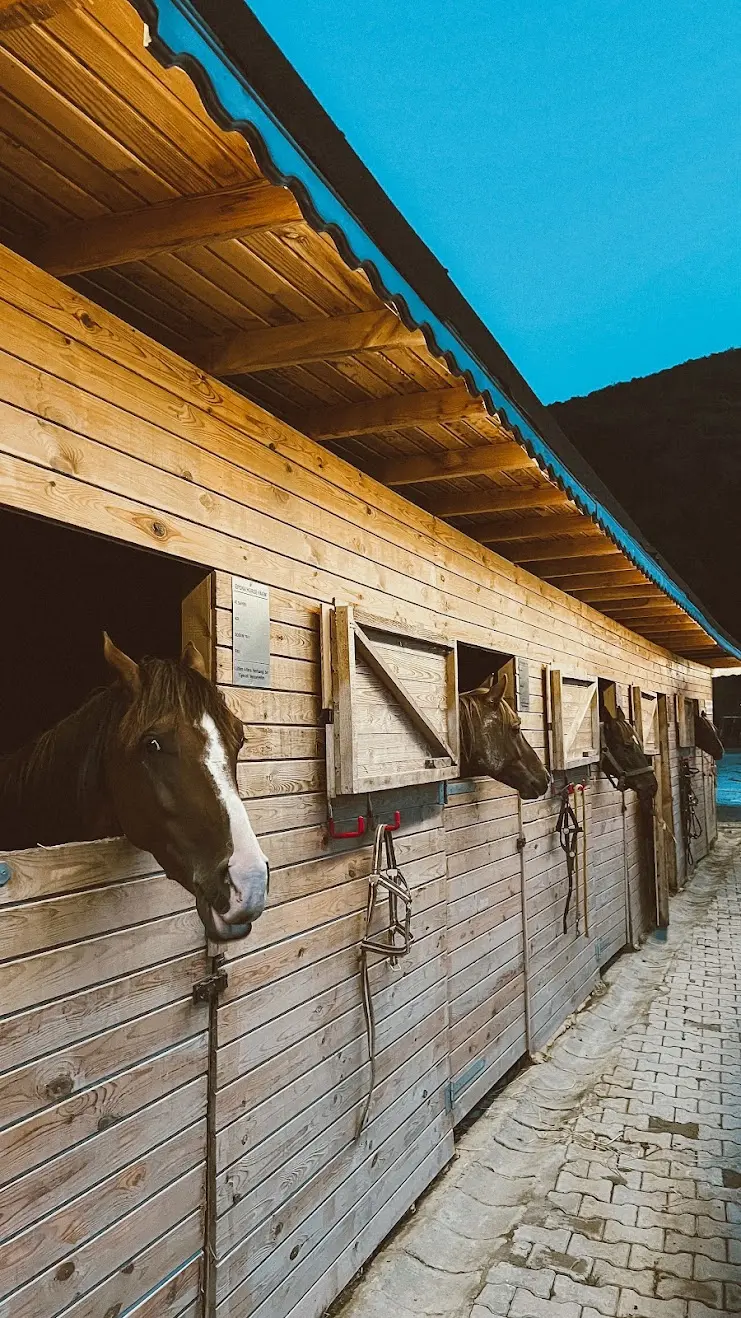 Kurum görseli