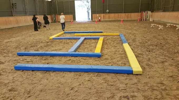 Kurum görseli