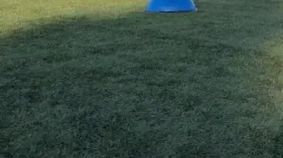Kemerburgaz Spor Kulübü