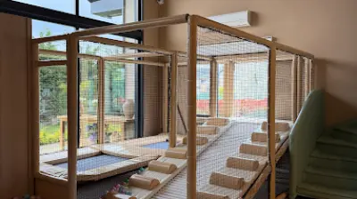 Mambini Kids Çocuk Oyun Alanı