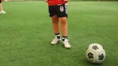 Bahçeşehir Beşiktaş Futbol Okulu