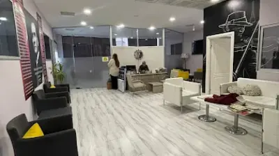 Akademi Eflatun