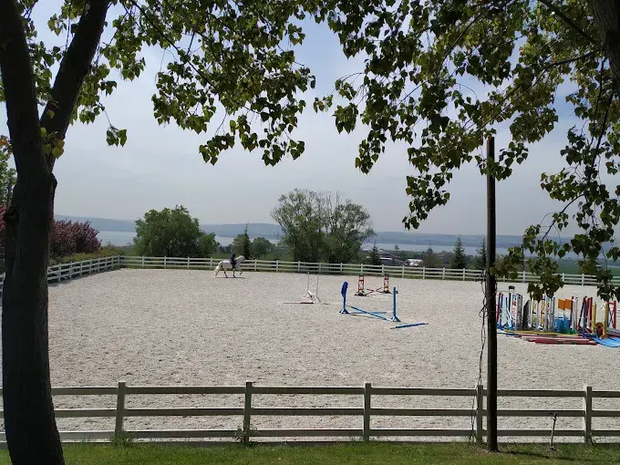 Kurum görseli