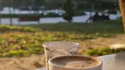 Tenis Cafe