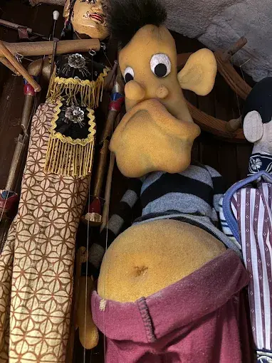 Kurum görseli