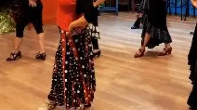 Flamenkoevi Dans Sanat Merkezi
