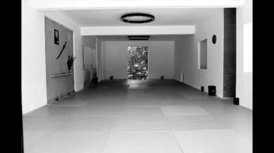 Aikidosever