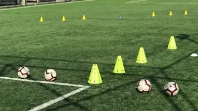 Fenerbahçe Futbol Okulu Maltepe