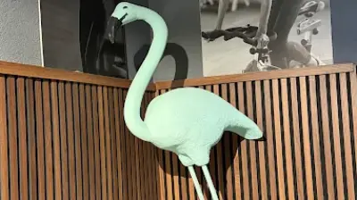 Flamingo GYM Haseki