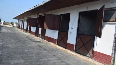 Karaca At Çiftliği Silivri Kurfallı
