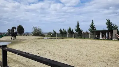 Mustang Range At Çiftliği