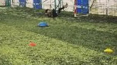 Silivri Prıme futbol akademi