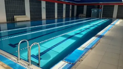 Dolphin Yüzme Akademi