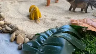 Masal Dünyası Gelişim Akademisi