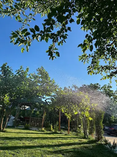 Kurum görseli