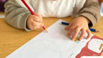 Mor Koza Eğitim & Atölye