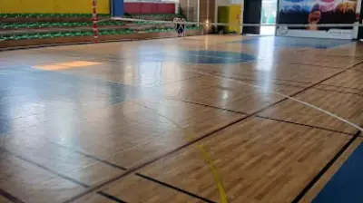 Cedi Osman Academy Başakşehir