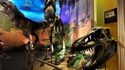 Jurassic Land