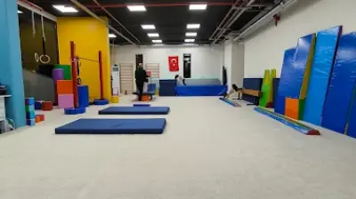 Disiplin Cimnastik Spor Kulübü