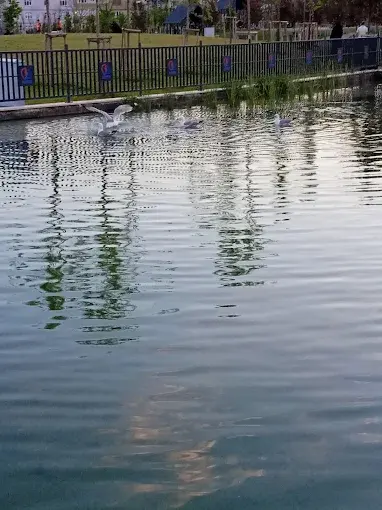 Kurum görseli