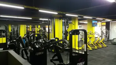 Alpha Gym