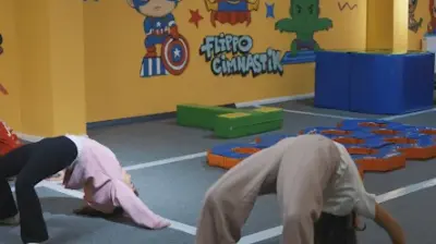 Flippo Hareket Akademisi