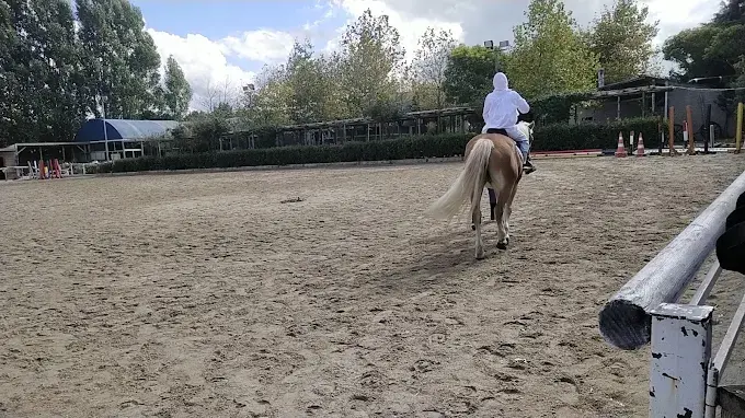 Kurum görseli