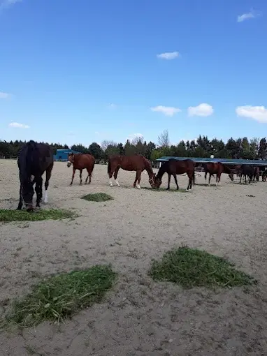 Kurum görseli