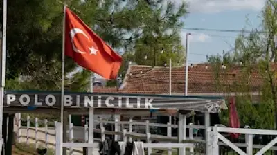 Polo Binicilik At Çiftliği