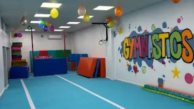 The Lion Academy Gymnastics