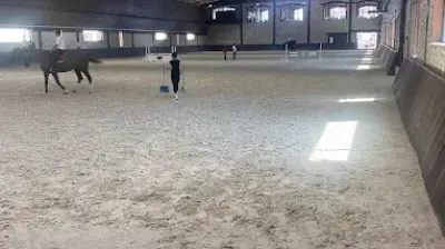 Magical Club Binicilik Kulübü