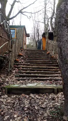Kurum görseli
