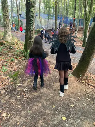 Kurum görseli