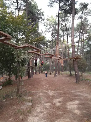 Kurum görseli