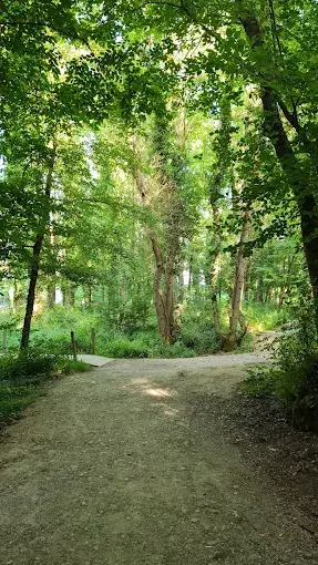 Kurum görseli