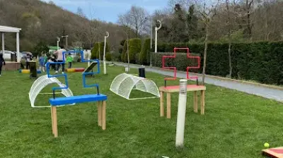 Blue Gym Kids Club