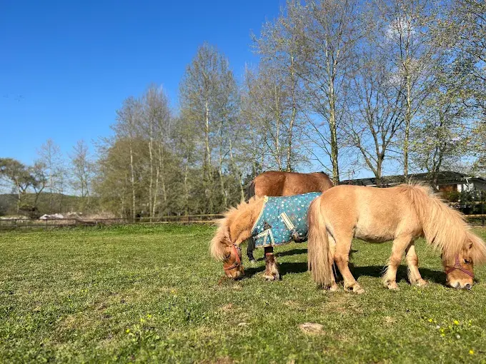 Kurum görseli