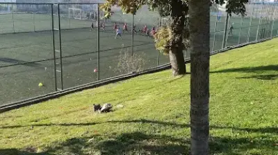 Çekmeköy Spor Kulübü